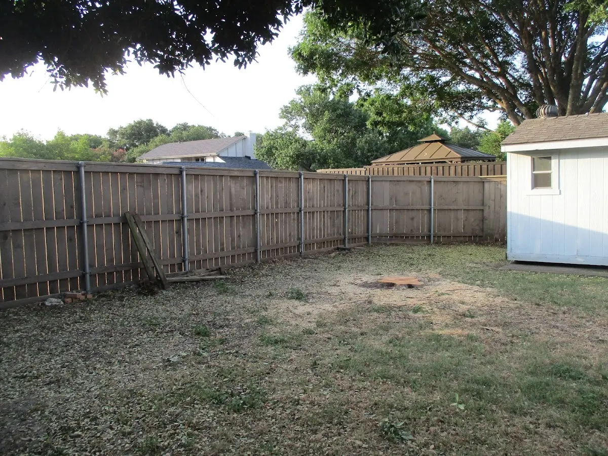 Cleared yard after professional tree removal in Sweet Home